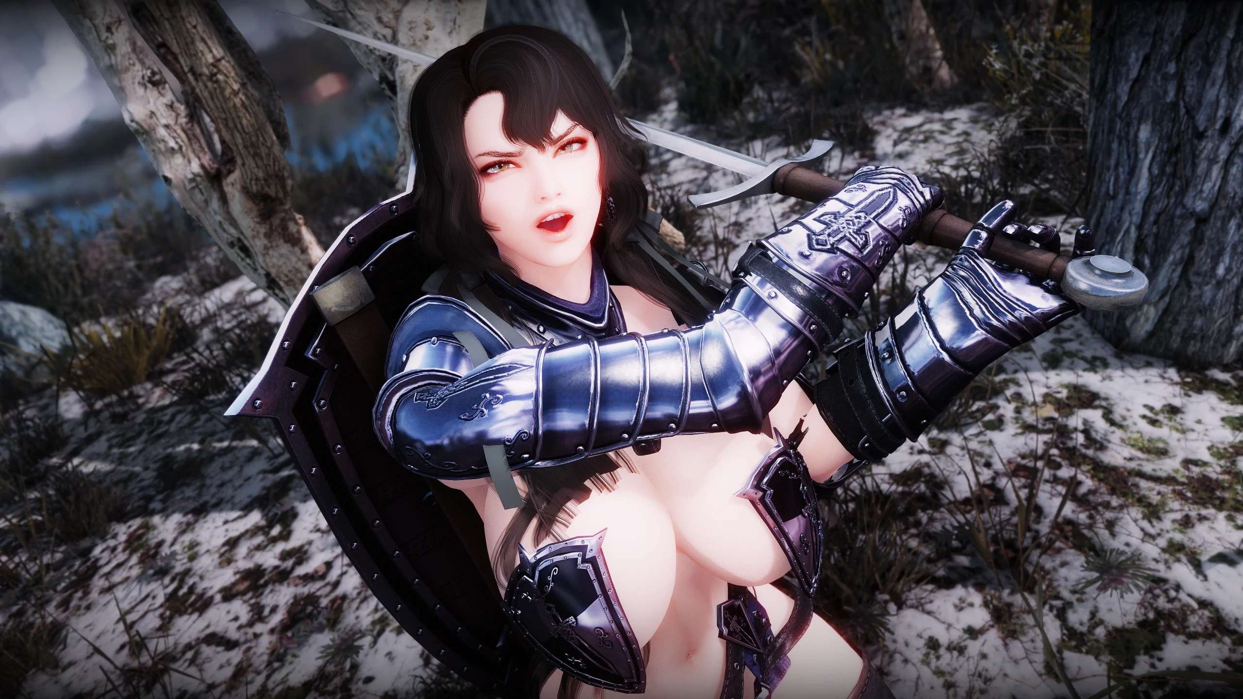 BHUNP DX Dark Knight Armor