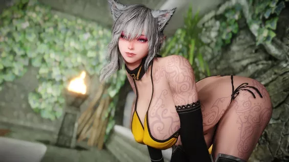 GrayFox Mola - 3BA NordRace follower mod
